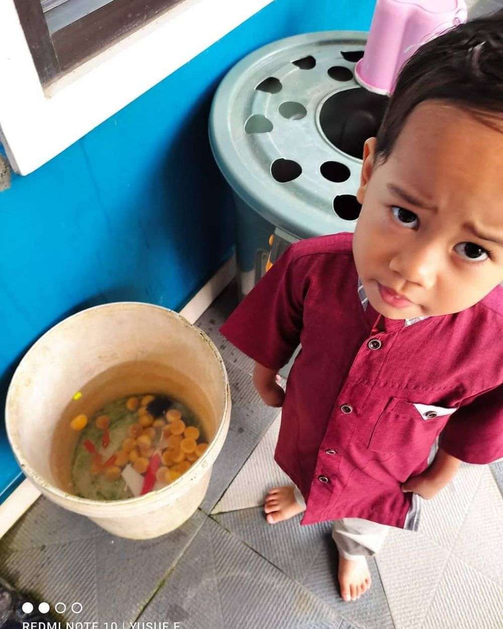 Ikan Ikut Ngicip Nastar