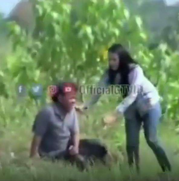 Membantu membajak sawah.