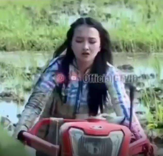 Beraksi seolah sudah pintar menguasai traktor pembajak sawah.