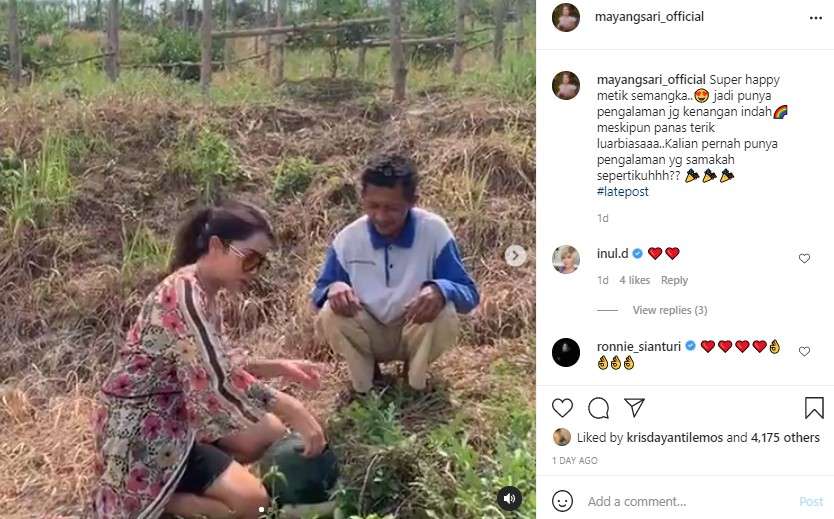 Mayangsari petik semangka