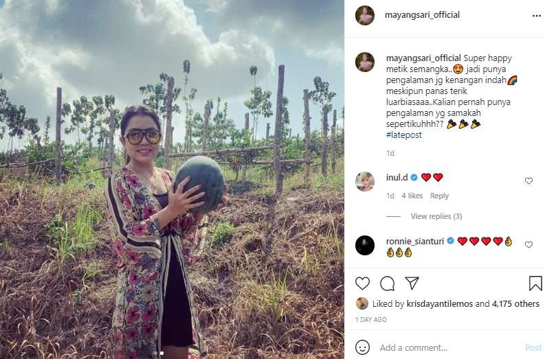 Mayangsari petik semangka