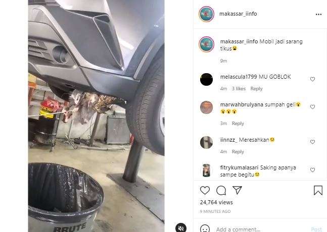 Hiy, mobil ini jadi sarang tikus. Hiy, mobil ini jadi sarang tikus.