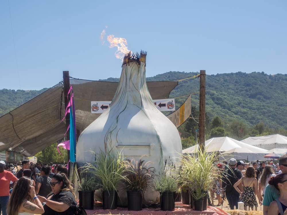 Gilroy Garlic