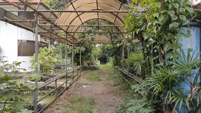Halaman rumah