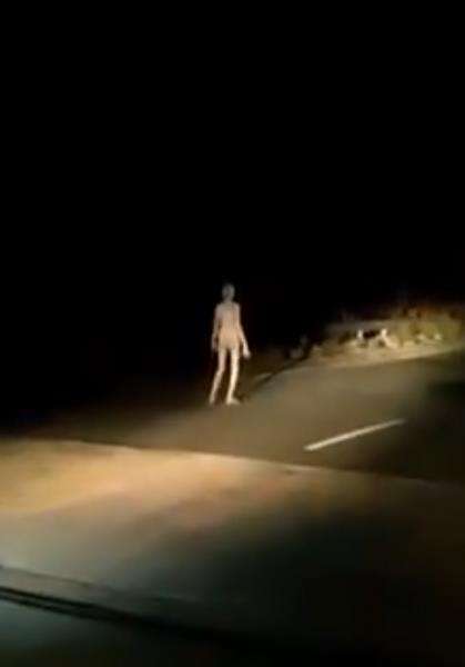 Makhluk mirip alien berjalan sendirian malam-malam.