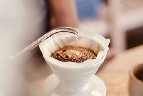 Coffee bloom