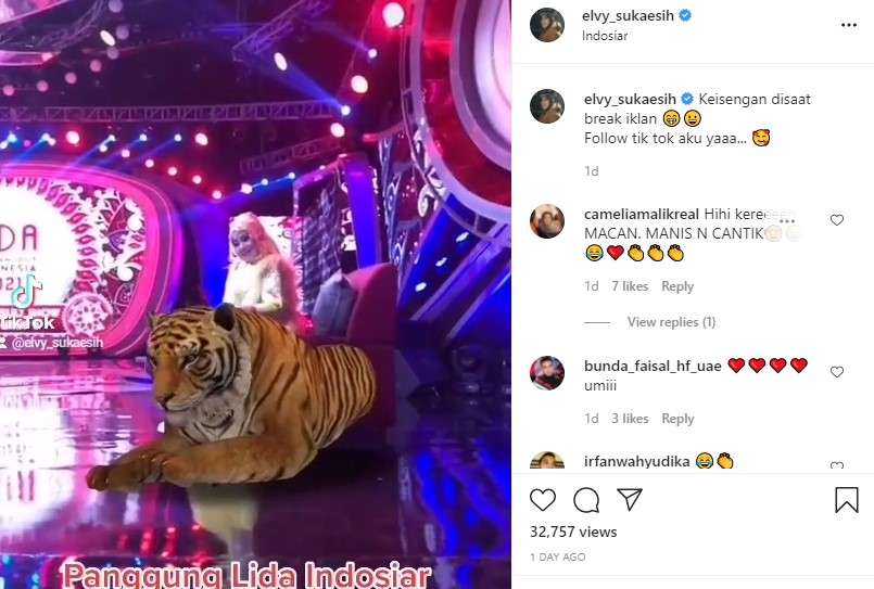 Unggahan Elvy Sukaesih