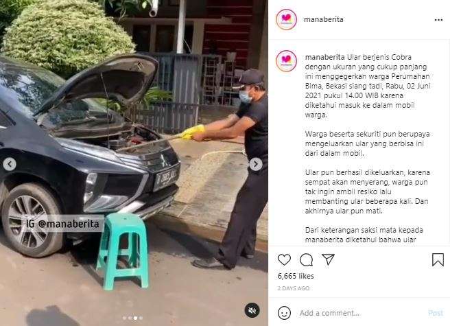 Seekor ular ditemukan di dalam mesin mobil.