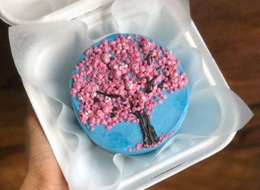 Bento Cake