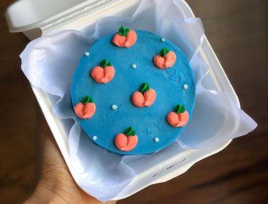 Bento Cake