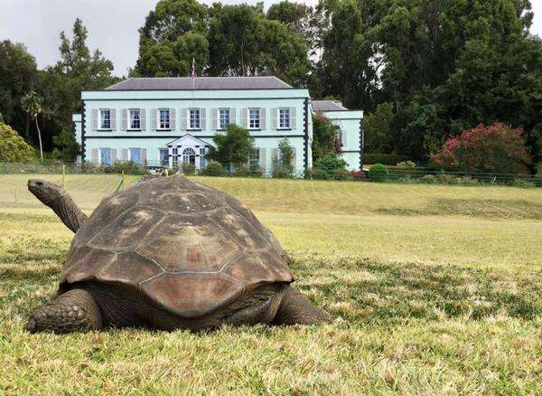 Jonathan tinggal di mansion yang dulu jadi tempat tinggal gubernur jenderal Saint Helena.