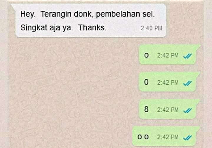 Chat Kocak