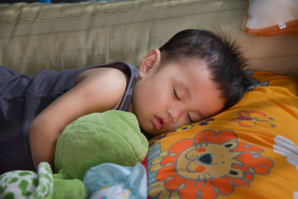 Mengajak Mainan atau Boneka Untuk Tidur Bersama