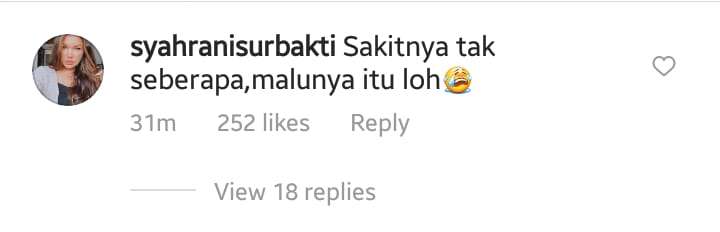 Komentar Seorang Warganet