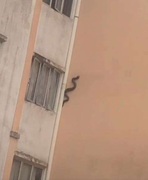 Tidak jelas di mana lokasi apartemen tersebut.