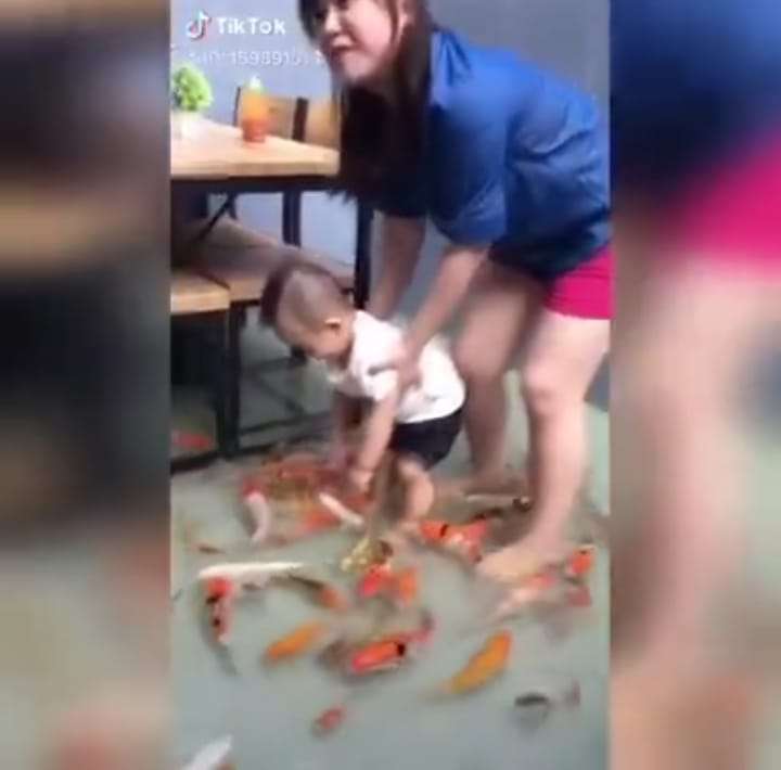 Rumah Makan Berkonsep Kolam Koi
