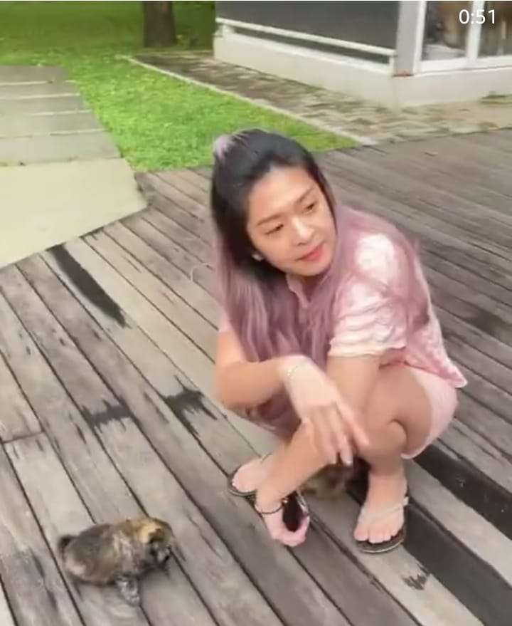 Seorang Wanita Bermain dengan Anak-anak Anjing