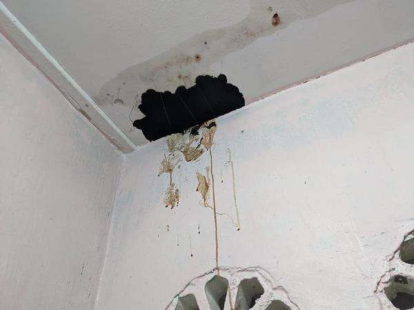 Bau busuk dari plafon, ada air hitam kemerahan menetes.