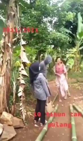 Video Viral