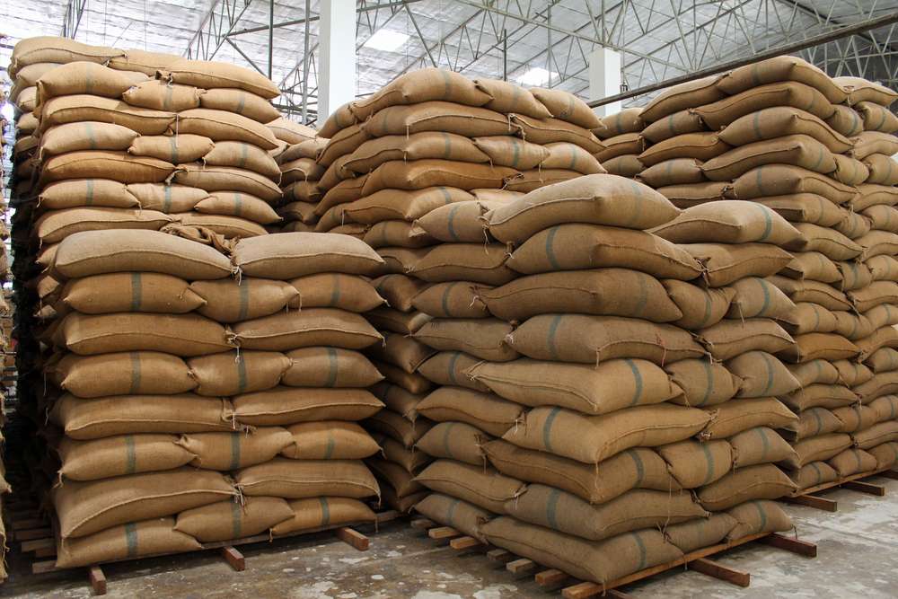 Strategi Food Estate dalam Hadapi Ancaman Krisis Pangan, Efektifkah? Strategi Food Estate dalam Hadapi Ancaman Krisis Pangan, Efektifkah?