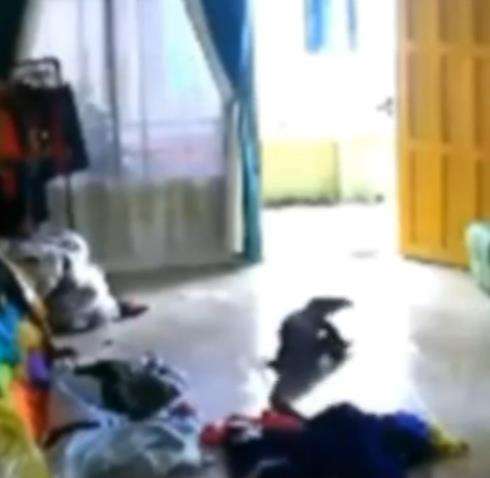 Penghuni rumah panik dan berusaha mengusir biawak tersebut.