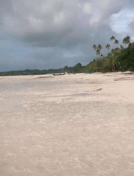 Mencoba berjalan ke tengah laut.