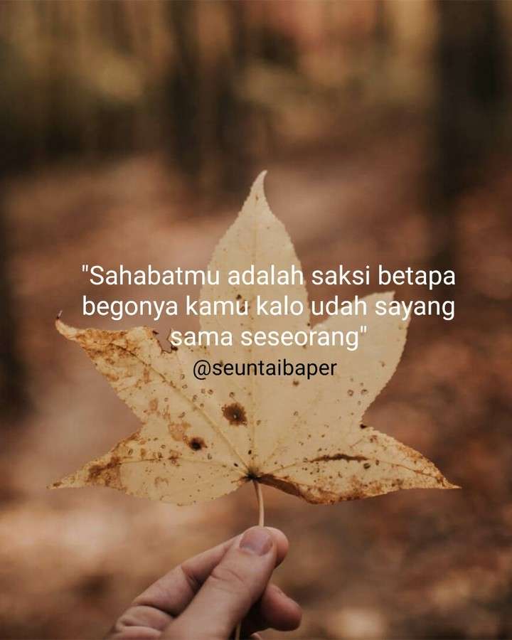 Kata-kata Lucu Singkat dan Menggelitik