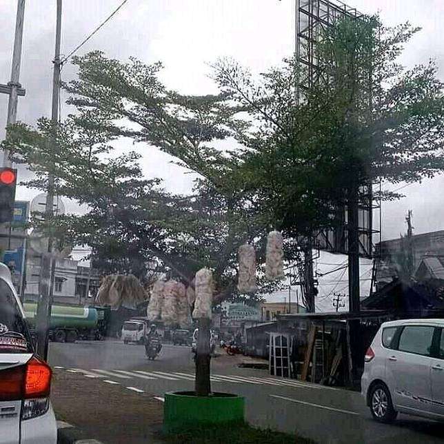 Pedagang kerupuk