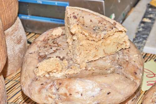 Keju Casu Marzu