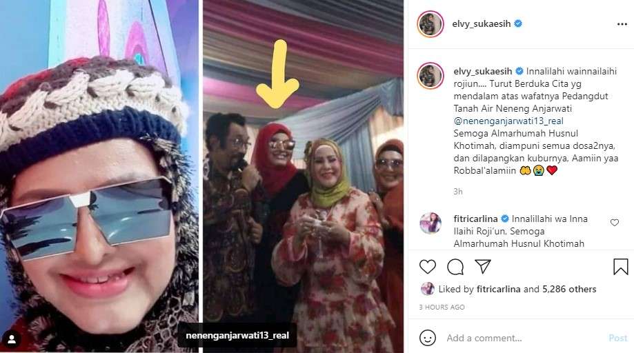 Elvy Sukaesih berduka