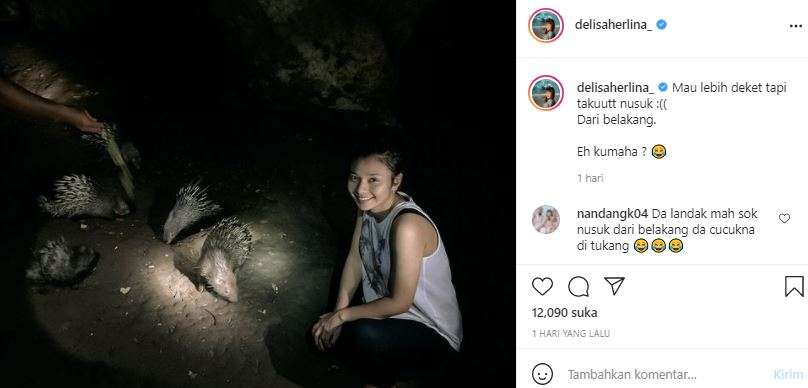 delisa