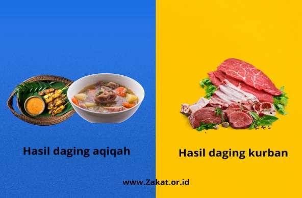 Perbedaan Kurban dan Aqiqah