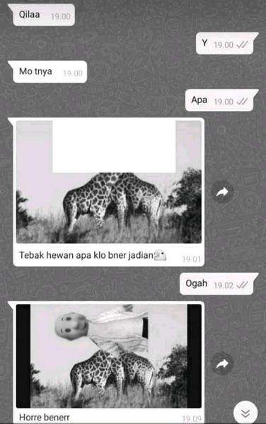 Deretan Chat Lucu Berisi Pertanyaan Menjebak yang Bikin Senyum-senyum Sendiri.