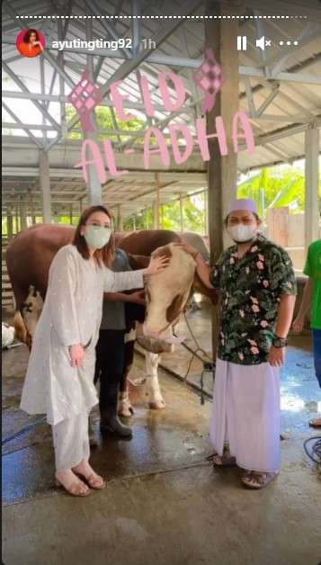 Hewan Kurban Ayu Ting Ting Hewan Kurban Ayu Ting Ting
