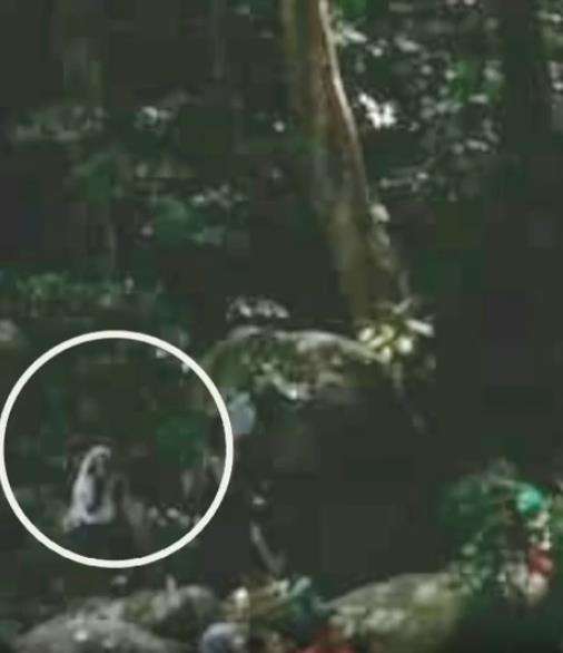 Penampakan sosok seram di dekat air terjun.