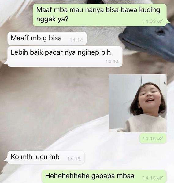 Deretan balasan kocak saat cari kosan yang bikin senyum.