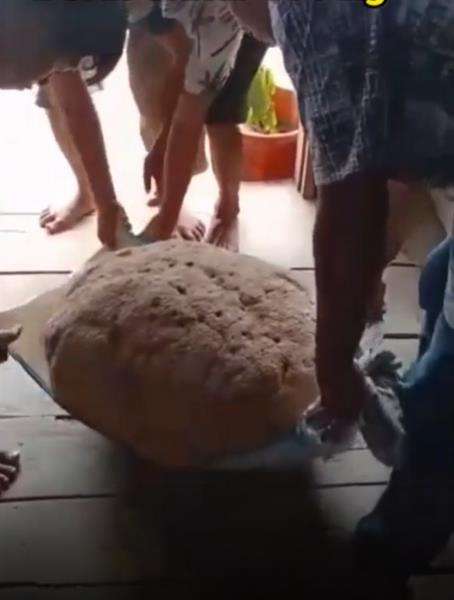 Batu seberat 100 kg bisa mengapung.