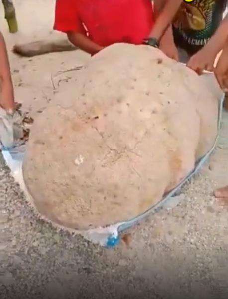 Batu tersebut tampak sangat berat.