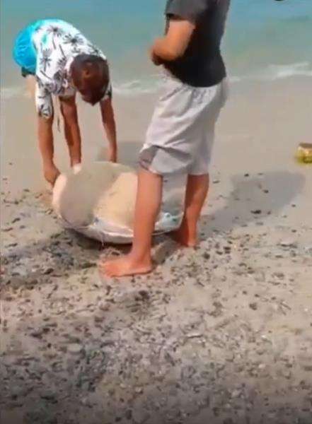 Batu ajaib siap diseret ke tengah laut.