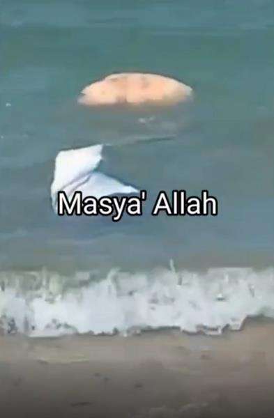 Ajaib batu seberat 100 kg bisa mengambang di atas air.