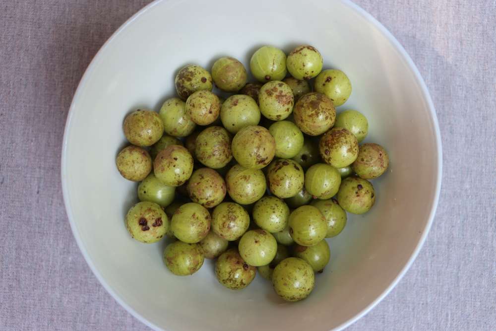 Buah Malaka