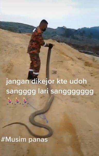 Panjangnya hampir lima meter.