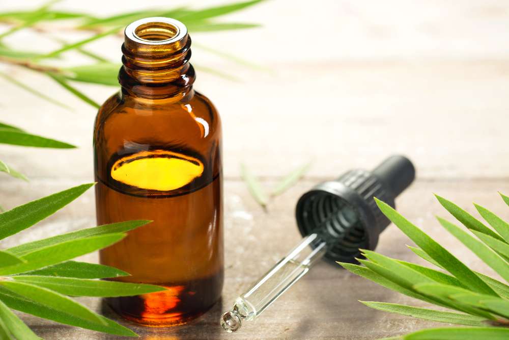 Minyak Tea Tree