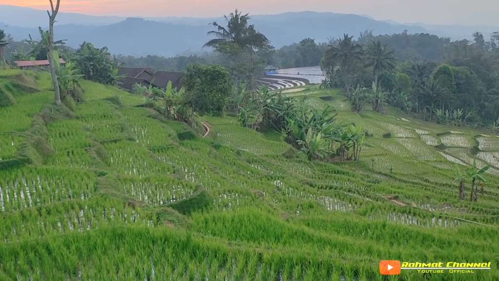 Suasana desa Suasana desa