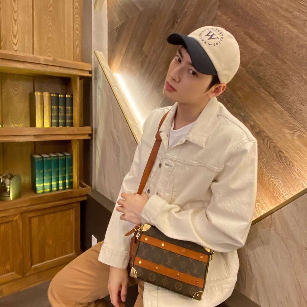 Penampilan Cha Eun Woo