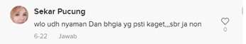 Salah Satu Komentar Warganet