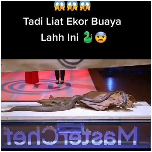 Mistery Box di Acara Kompetisi Memasak