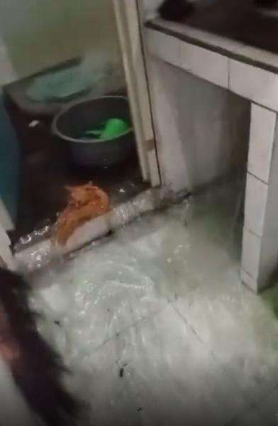 WC mudal airnya keluar semua hingga sebabkan banjir.