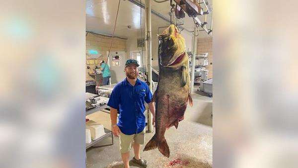 Matt Neuling dengan ikan mas raksasa yang dipancingnya.
