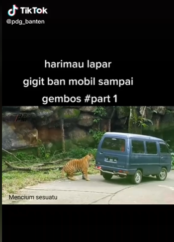 Video Viral